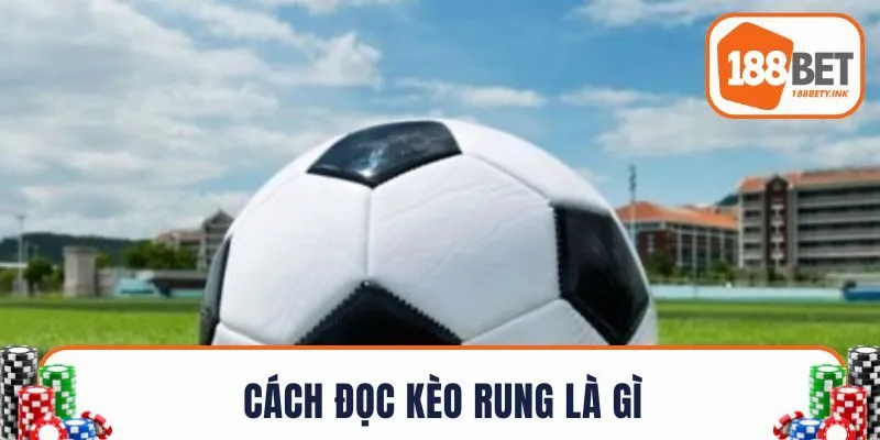 Cách đọc kèo rung là gì