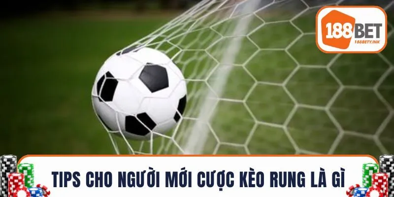 Tips cho người mới cược kèo rung là gì?
